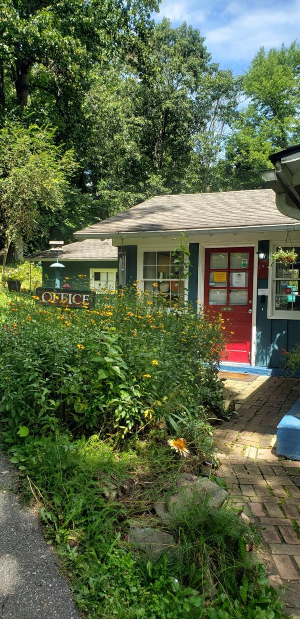 The Pines Cottages Woodfin 外观 照片